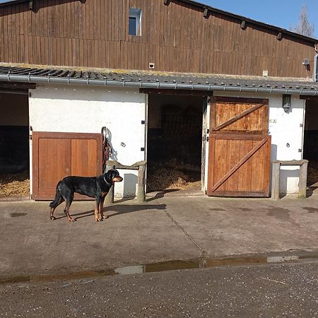 Le Gite Du Galou Sully  Exterior foto